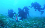 amalfi coast scuba diving